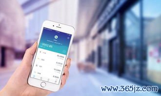 钱包安全性_如何在im钱包App中进行资产安全设置？_钱包管理app